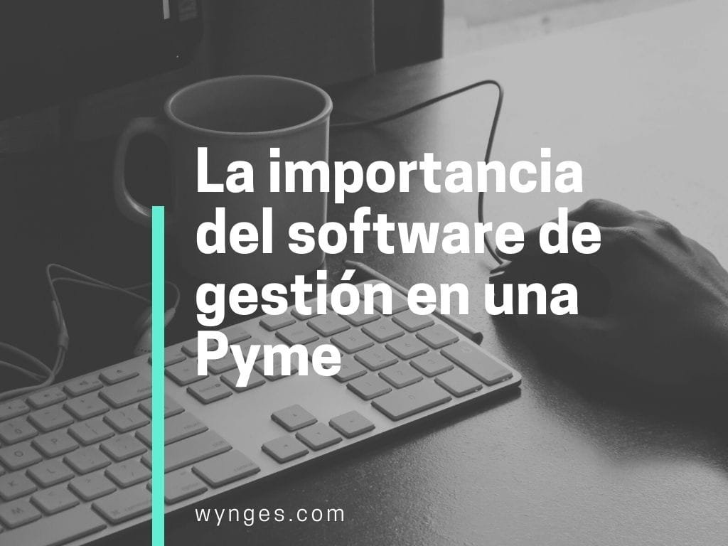 La importancia del software de gestión en una Pyme – Lider Gestion ERP
